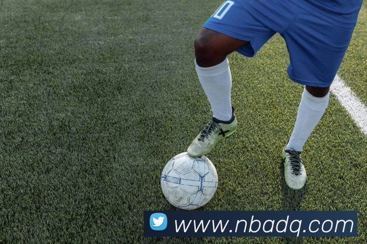 nba投注网站APP 封面图